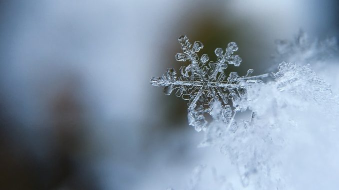 Fördelarna med att flytta under lågsäsong illustration